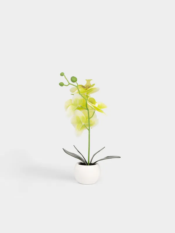 Жасанды өсімдік, 34 см, құмырада, TPE/керамика, Жасыл орхидея, Orchid, image-3