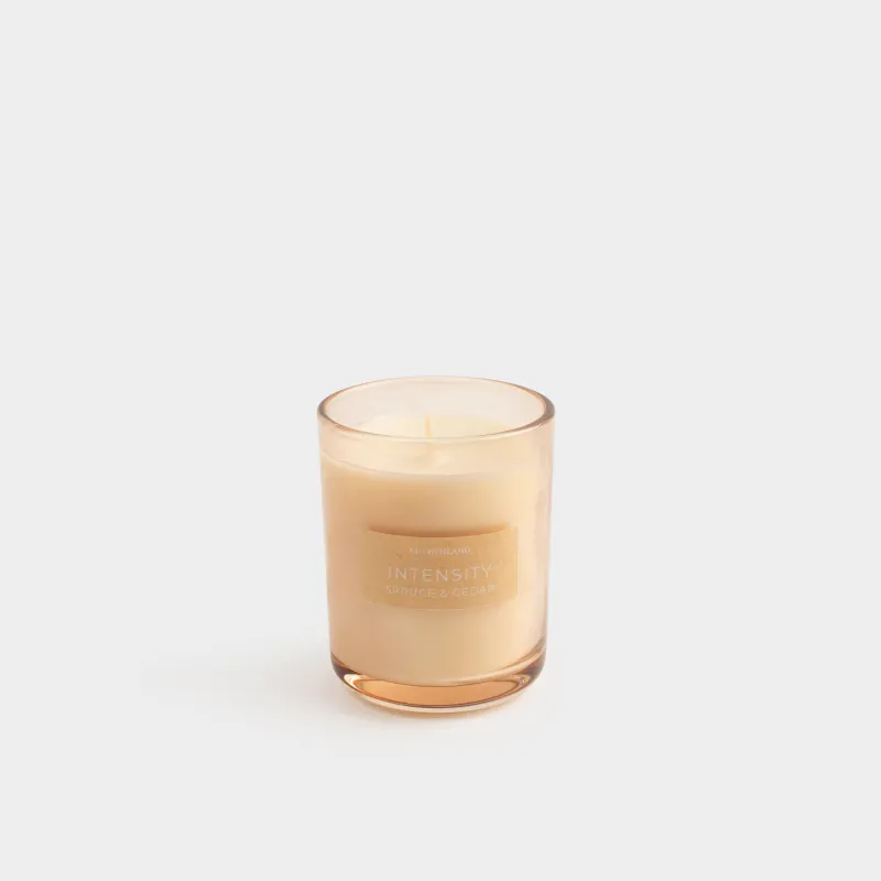 Свеча ароматическая, 6х8 см, в подсвечнике, Spruce & Cedar, Intensity
