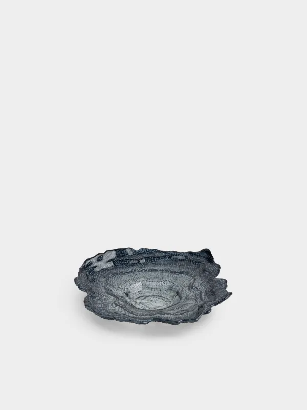 Ыдыс, 24х5 см, шыны, сұр, Shellfish color, image-0