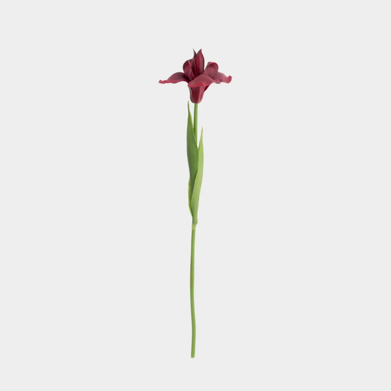 Жасанды гүл, 49 см, пластик/полиуретан, Қызыл құртқашаш, Iris garden