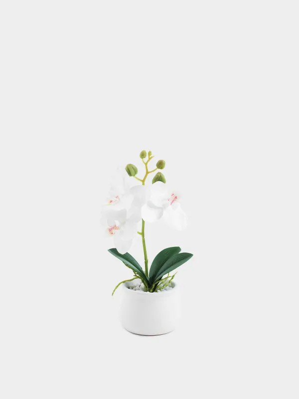 Растение искусственное, 25 см, полиэстер/керамика, Orchid, image-0