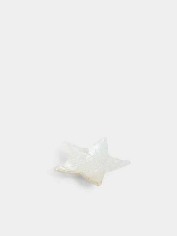 Ыдыс, 16х3 см, шыны, сұр, седеп, Теңіз жұлдызы, Starfish, image-0