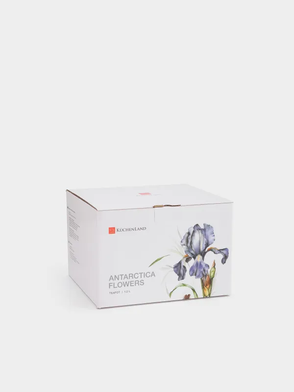 Шайнек, 1,2 л, фарфор F, күміс жиегі бар, Құртқашаш, Antarctica Flowers, image-7