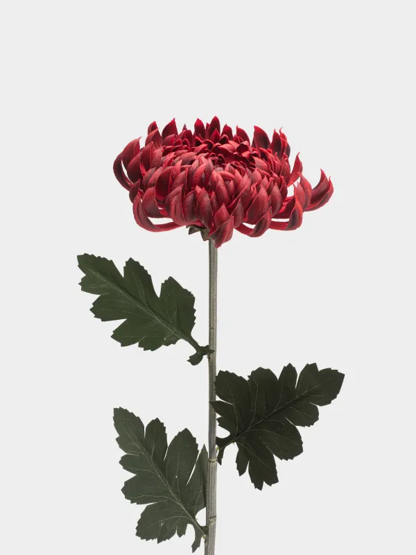 Цветок искусственный, 73 см, пластик/полиэстер, Красная хризантема, Flower garden, image-1