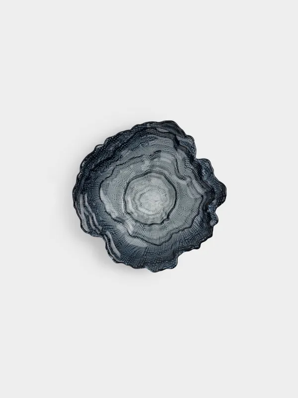 Ыдыс, 24х5 см, шыны, сұр, Shellfish color, image-2
