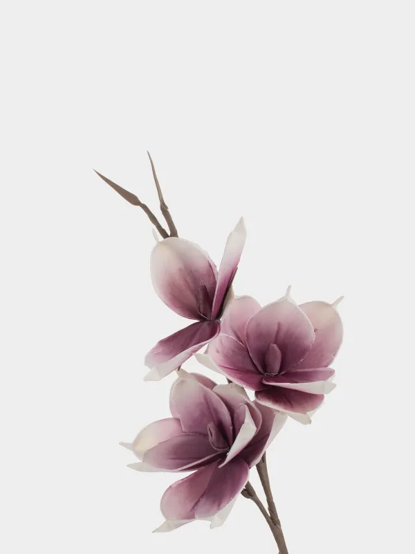 Ветка декоративная, 91 см, Белая магнолия, Magnolia, image-1