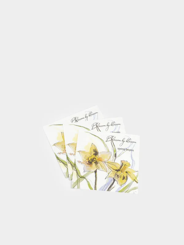 Қағаз майлықтар, 33х33 см, 20 дана, төртбұрышты, ақ, Нәркестер, Bloom, image-2