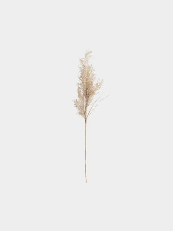 Сәндік бұтақ, 1 м, полиэстер/қағаз, Пампа шөбі, Meadow decor, image-0