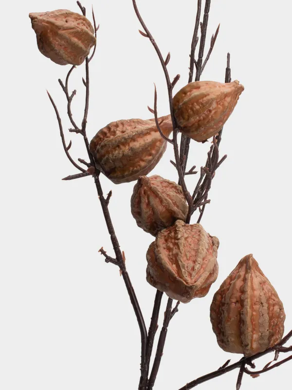 Сәндік бұтақ, 92 см, пенопласт/пластик, Қоңыр физалис, Fruit decor, image-2