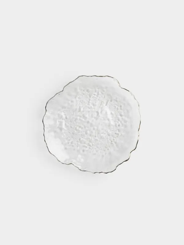 Ыдыс, 26 см, шыны, күміс жиектері бар, Nautilus silver, image-0