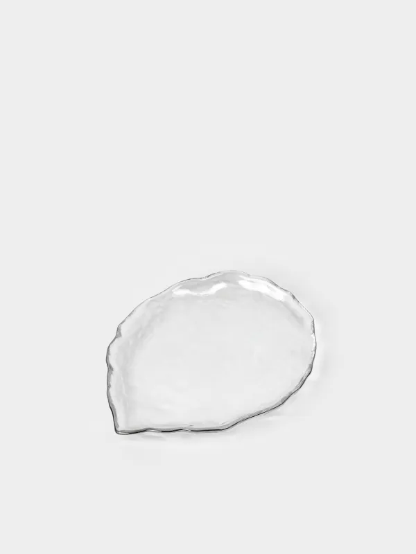 Ыдыс, 27х21х2 см, шыны, күміс жиегі бар, Жапырақша, Nautilus silver, image-0