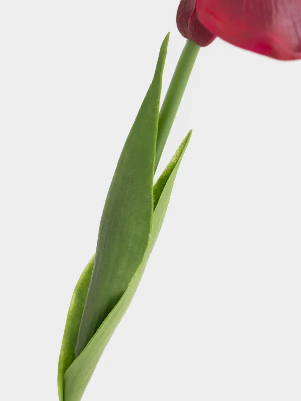 Жасанды гүл, 49 см, пластик/полиуретан, Қызыл құртқашаш, Iris garden, image-2