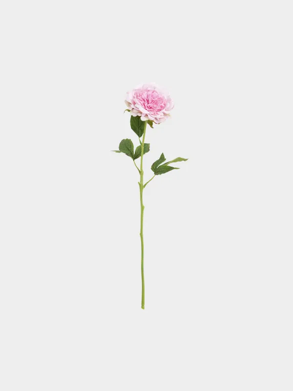 Цветок искусственный, Пион, Peony garden, image-0