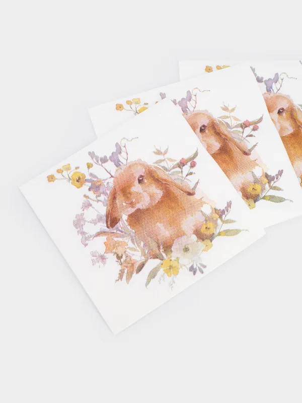 Қағаз майлықтар, 21х21 см, 20 дана, төртбұрышты, ақ, Қоян, Natural Easter, image-2