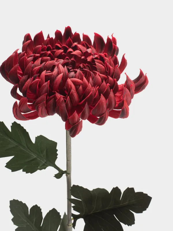 Цветок искусственный, 73 см, пластик/полиэстер, Красная хризантема, Flower garden, image-2