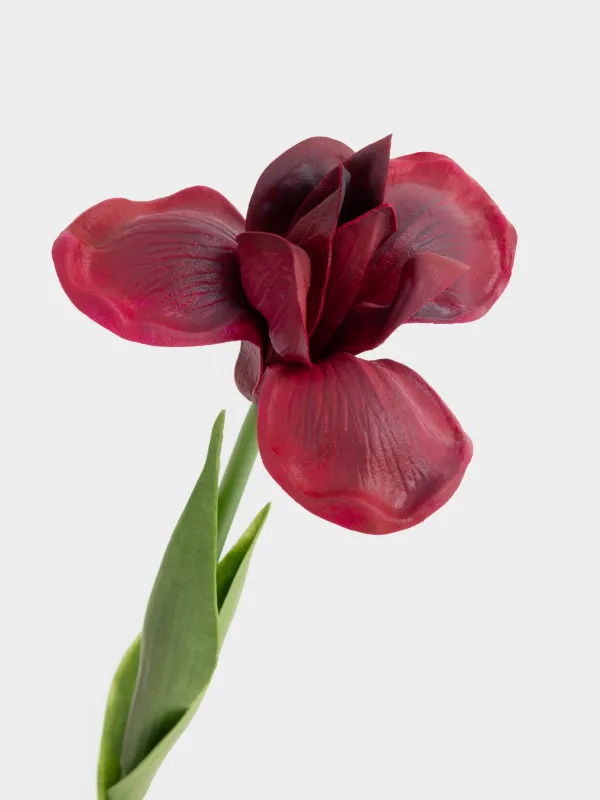 Жасанды гүл, 49 см, пластик/полиуретан, Қызыл құртқашаш, Iris garden, image-1
