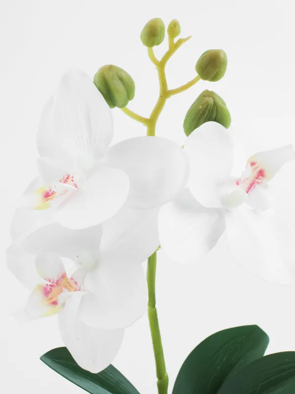 Растение искусственное, 25 см, полиэстер/керамика, Orchid, image-1