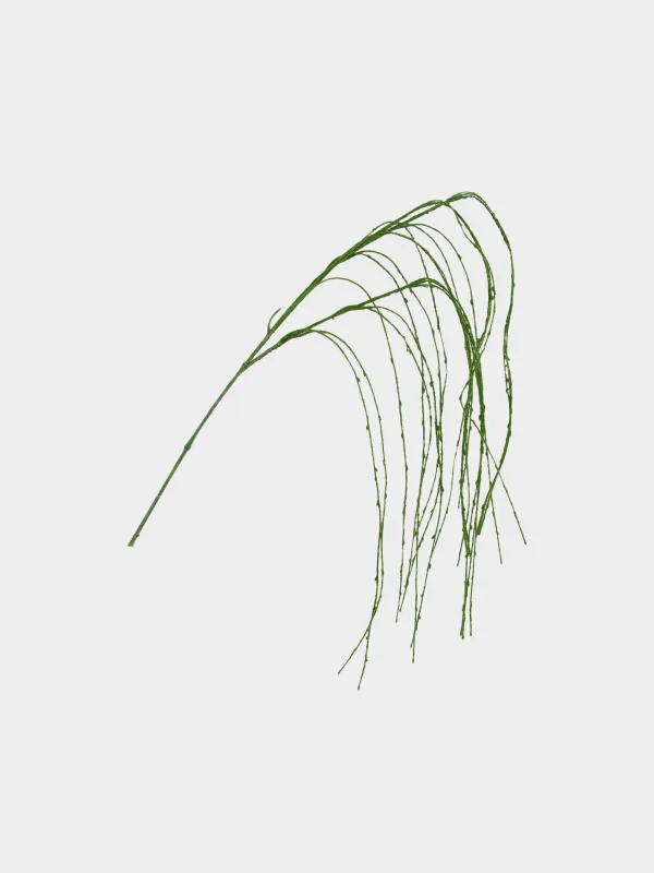 Ветка декоративная, 1,2 м, Ива, Curved decor, image-0