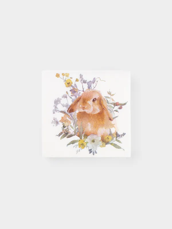 Қағаз майлықтар, 21х21 см, 20 дана, төртбұрышты, ақ, Қоян, Natural Easter, image-0