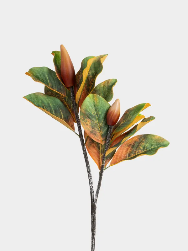 Сәндік бұтақ, 98 см, полиуретан, Магнолия жапырақтары, Broadleaf decor, image-1