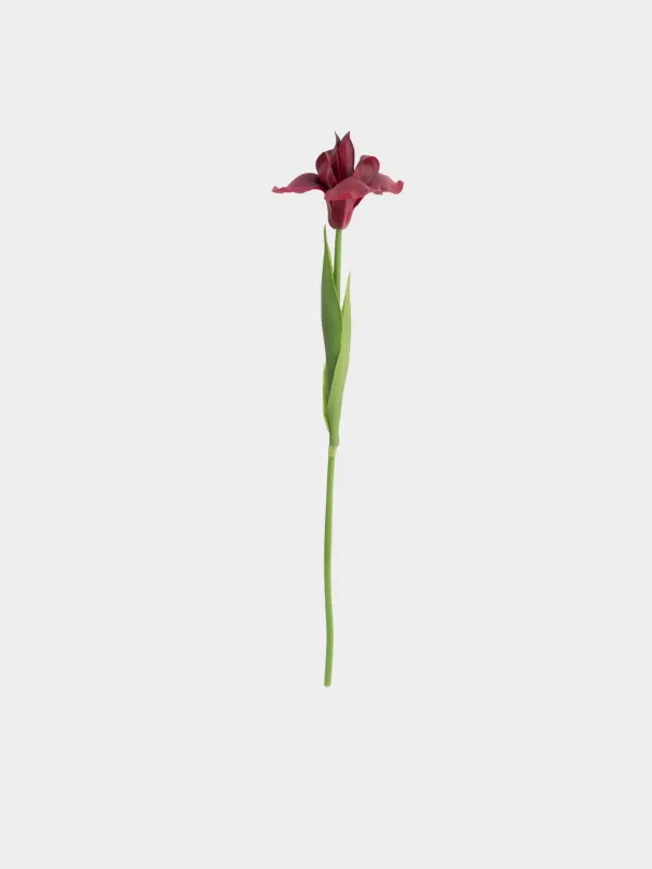 Жасанды гүл, 49 см, пластик/полиуретан, Қызыл құртқашаш, Iris garden, image-0