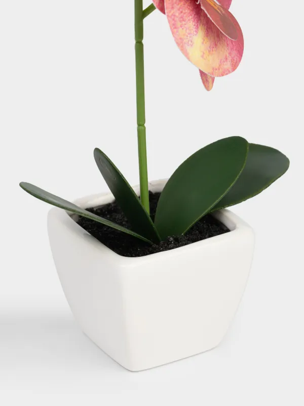 Растение искусственное, ТПЭ/керамика, Orchid, image-2