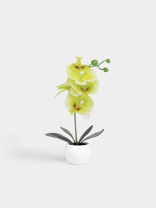 Жасанды өсімдік, 34 см, құмырада, TPE/керамика, Жасыл орхидея, Orchid, image-0