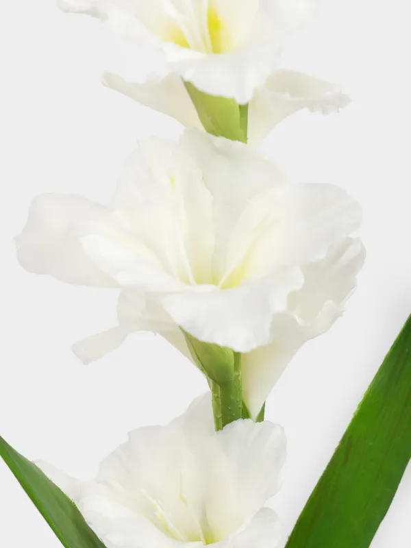 Жасанды гүл, 1 м, ПВХ/металл, Ақ гладиолус, Flower garden, image-2