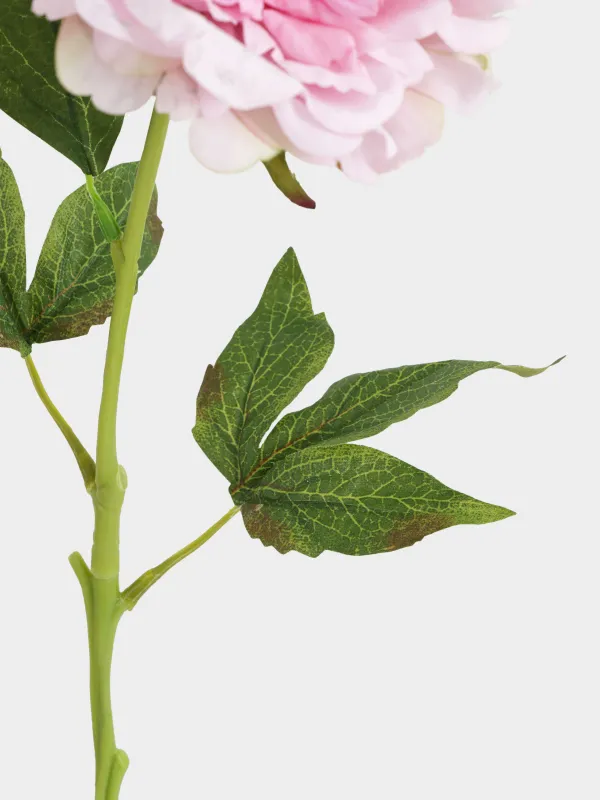 Жасанды гүл, 56 см, полиэстер, Ашық қызғылт сәлдегүл, Peony garden, image-3