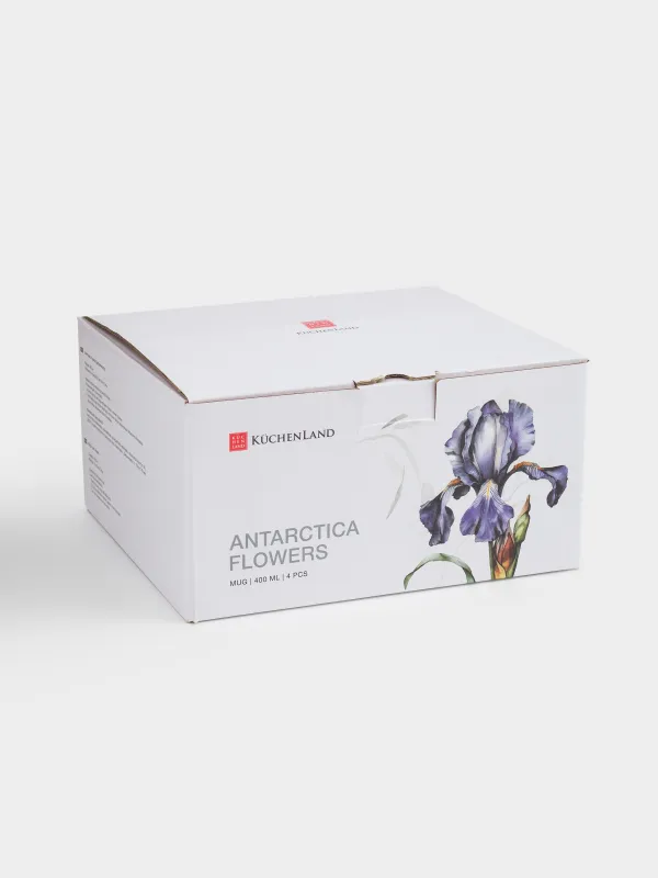 Саптыаяқ, 400 мл, 4 дана, фарфор F, күміс жиегі бар, Құртқашаш, Antarctica Flowers, image-5