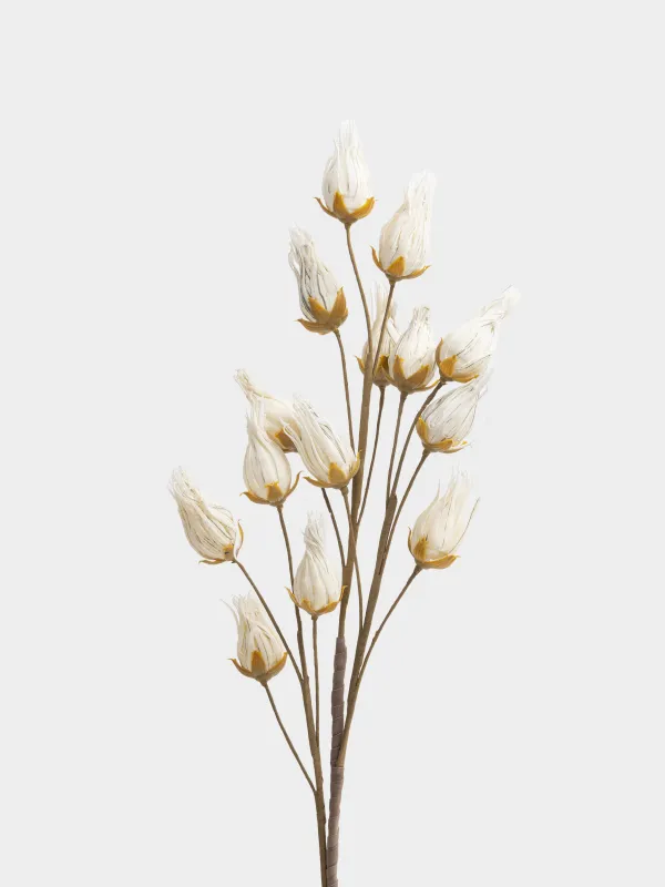 Сәндік бұтақ, 1 м, пенопласт/пластик, Ақ гүлдер, Flower garden, image-1