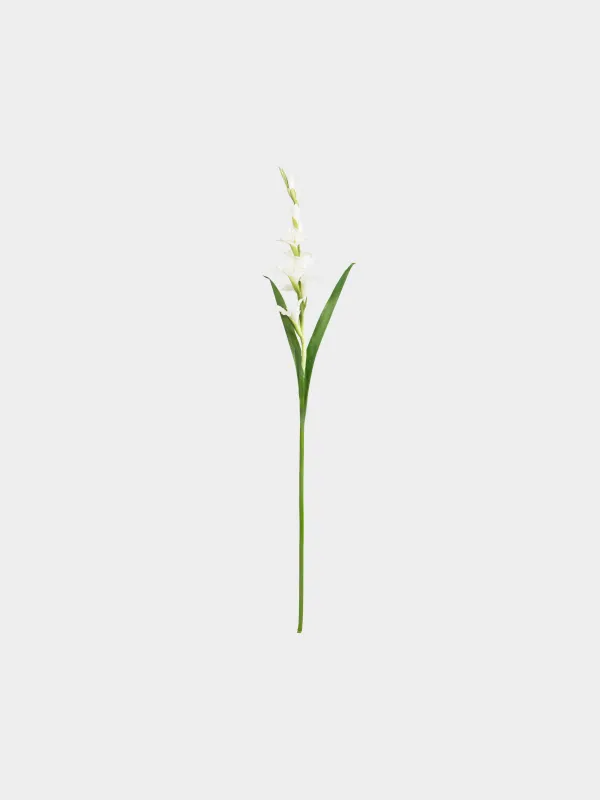 Жасанды гүл, 1 м, ПВХ/металл, Ақ гладиолус, Flower garden, image-0