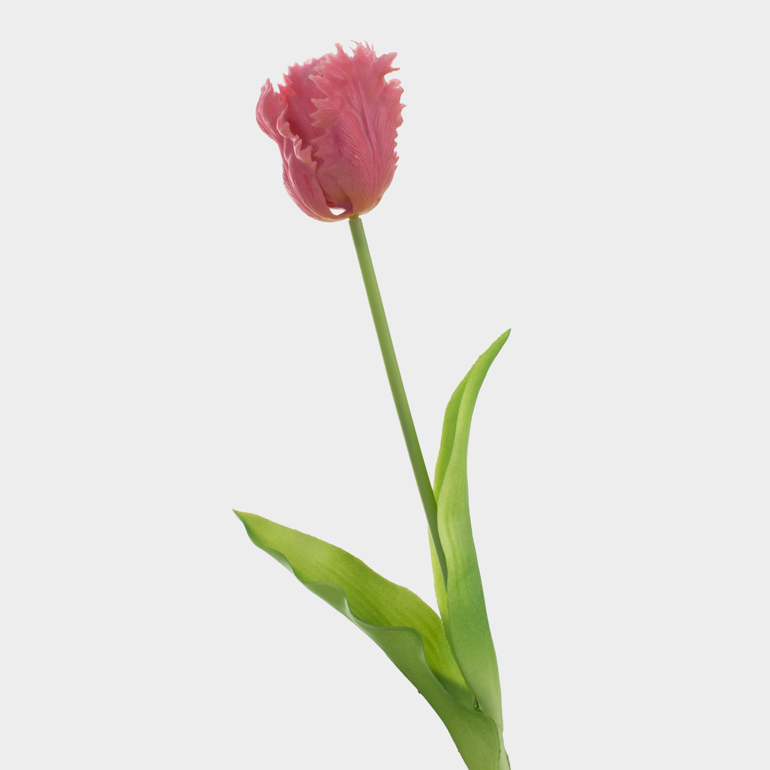 Цветок искусственный, 39 см, пластик/металл, Лиловый тюльпан, Tulip garden, image-0