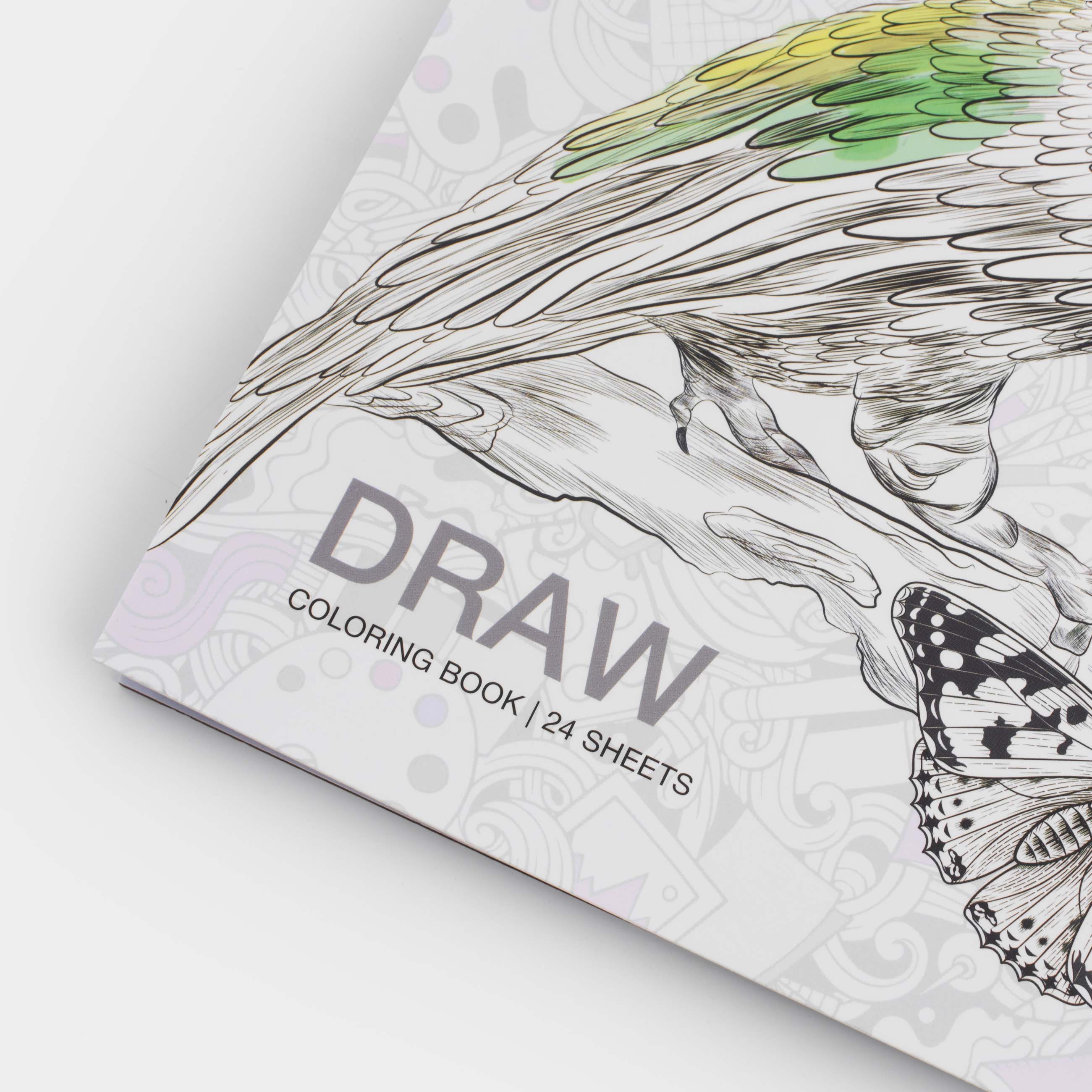 Бояу альбомы, 21х21 см, 24 парақ, сақиналарда, Жануарлар, Draw, image-2