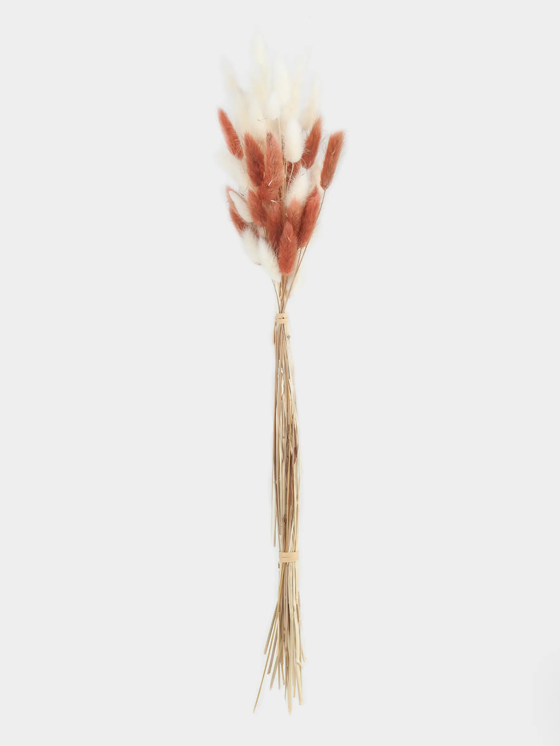 Сәндік гүл шоқтары, 60 см, кептірілген гүлдер, сарғылт-қоңыр/ақ, Сабақтар, Dried flower, image-0