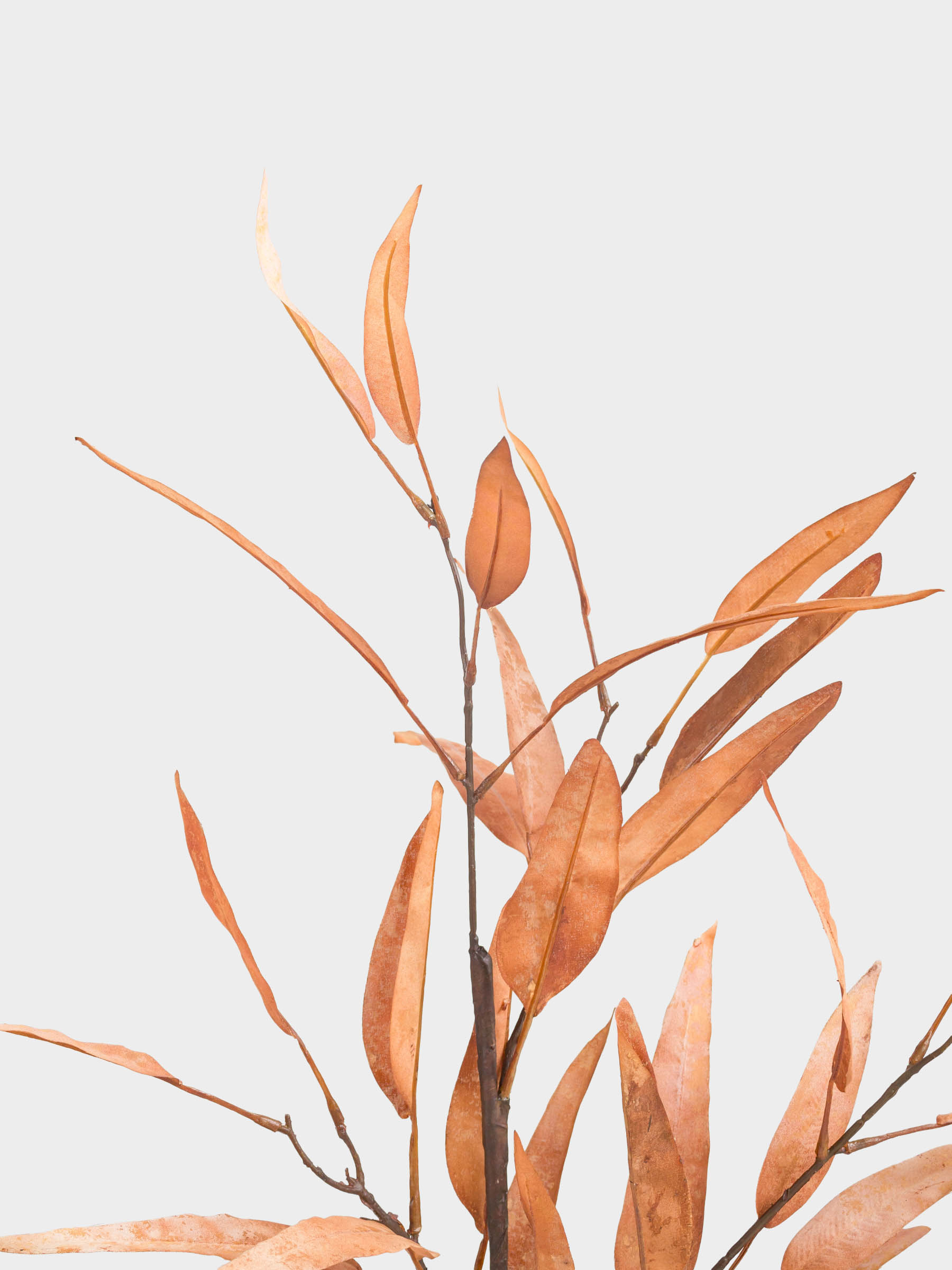 Сәндік бұтақ, 1,1 м, полиэстер/пластик, Эвкалипт, Colors autumn decor, image-3