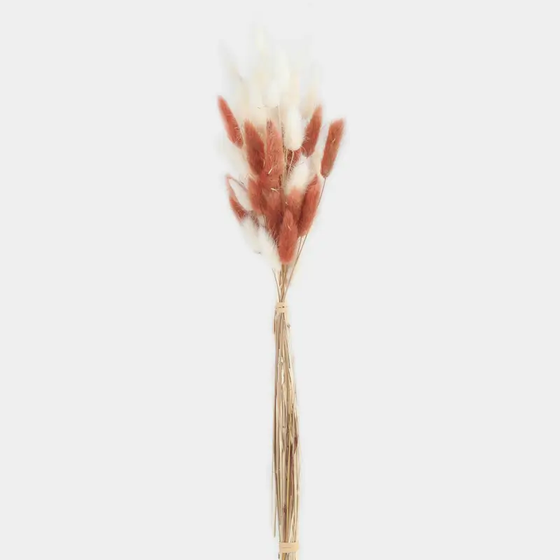Букет декоративный, 60 см, сухоцветы, бежевый/белый, Колоски, Dried flower ,image-0