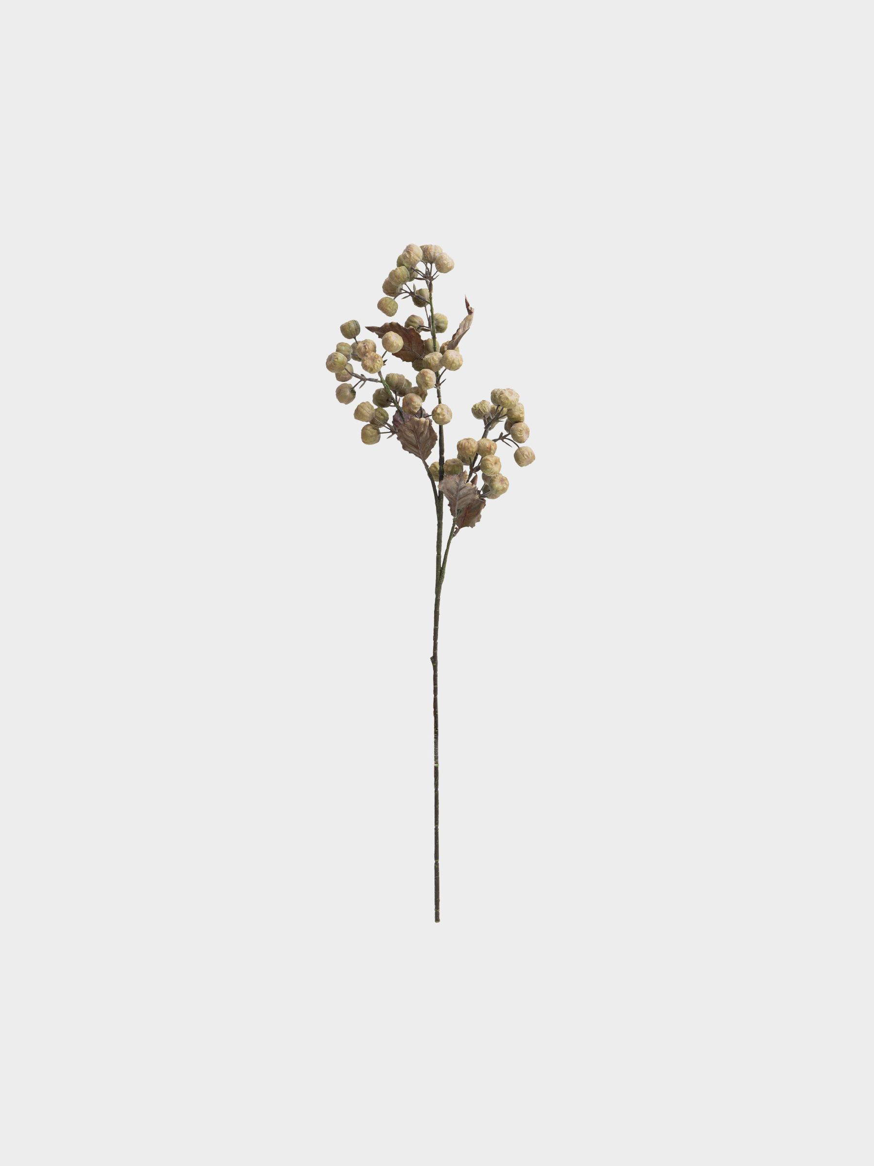 capsule-img