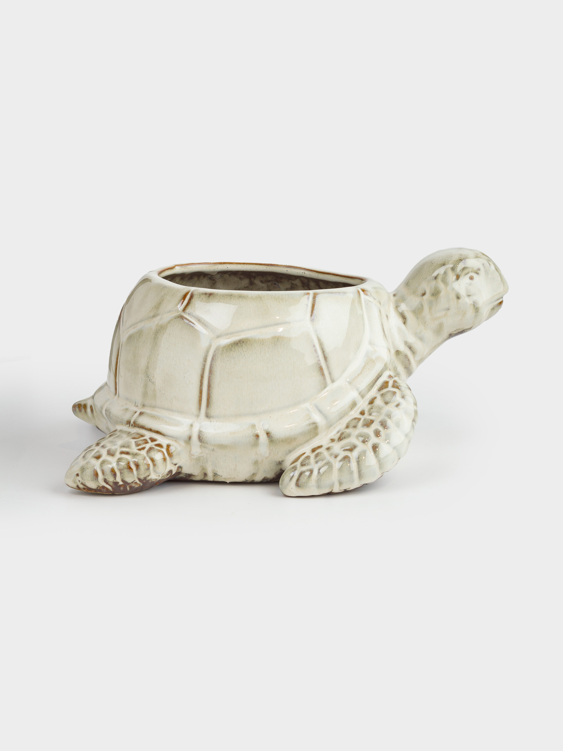 Конфетница, 26х13 см, фарфор P, бежево-коричневая, Черепаха, Grand turtle, image-0