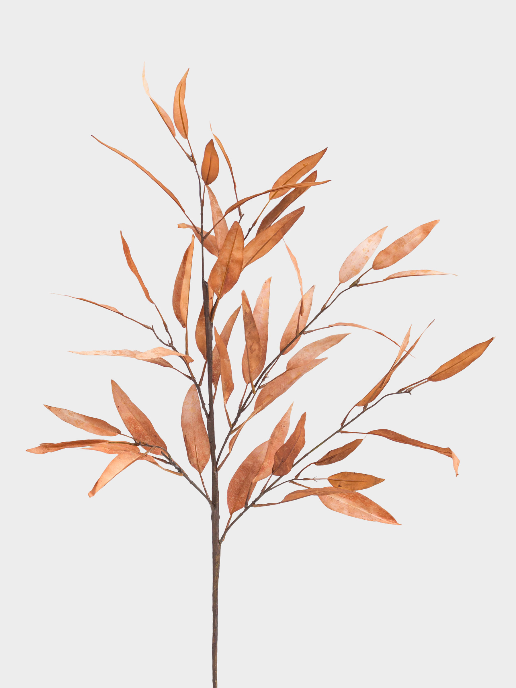 Сәндік бұтақ, 1,1 м, полиэстер/пластик, Эвкалипт, Colors autumn decor, image-1