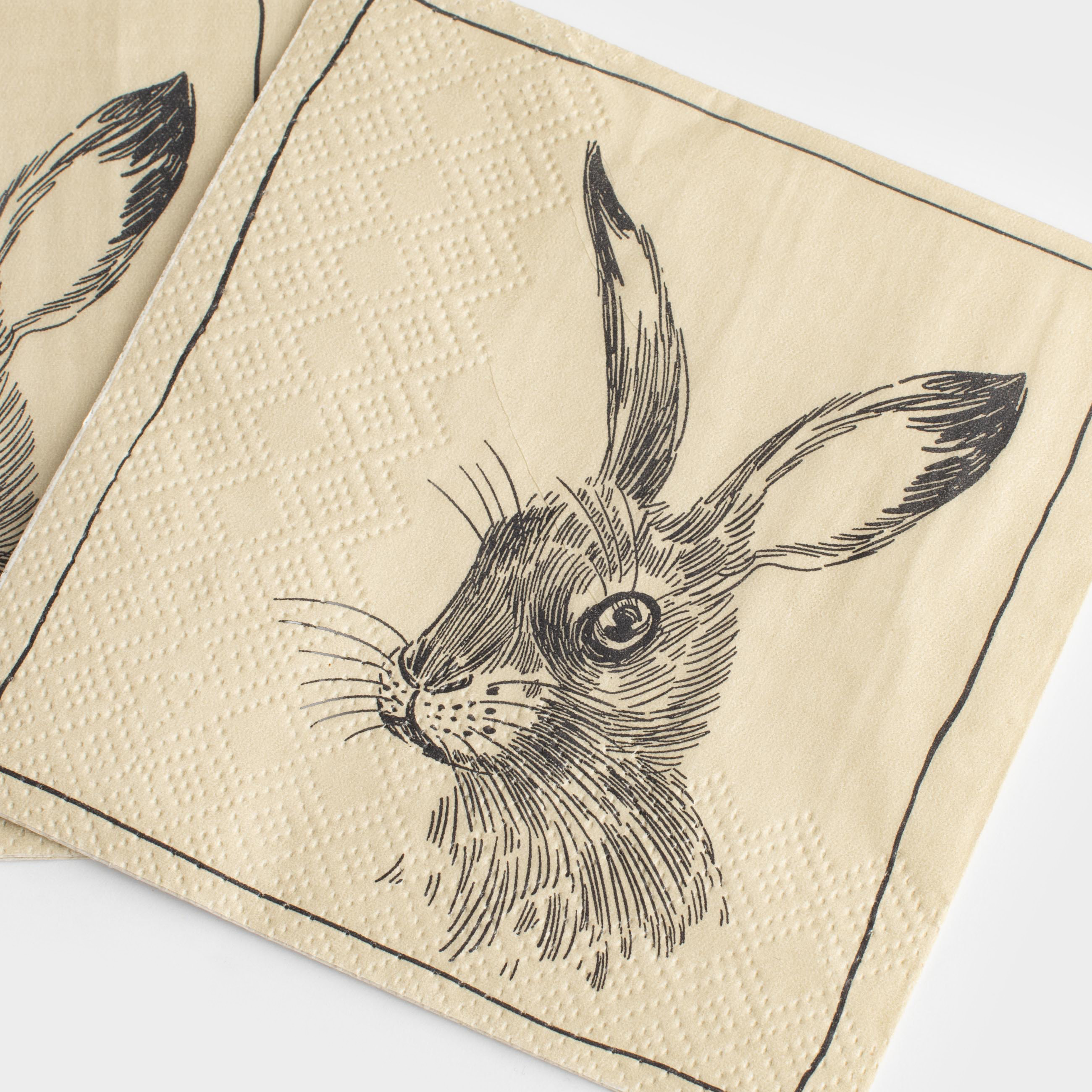 Салфетки бумажные, 21х21 см, 20 шт, квадратные, бежевые, Кролик, Natural Easter, image-0