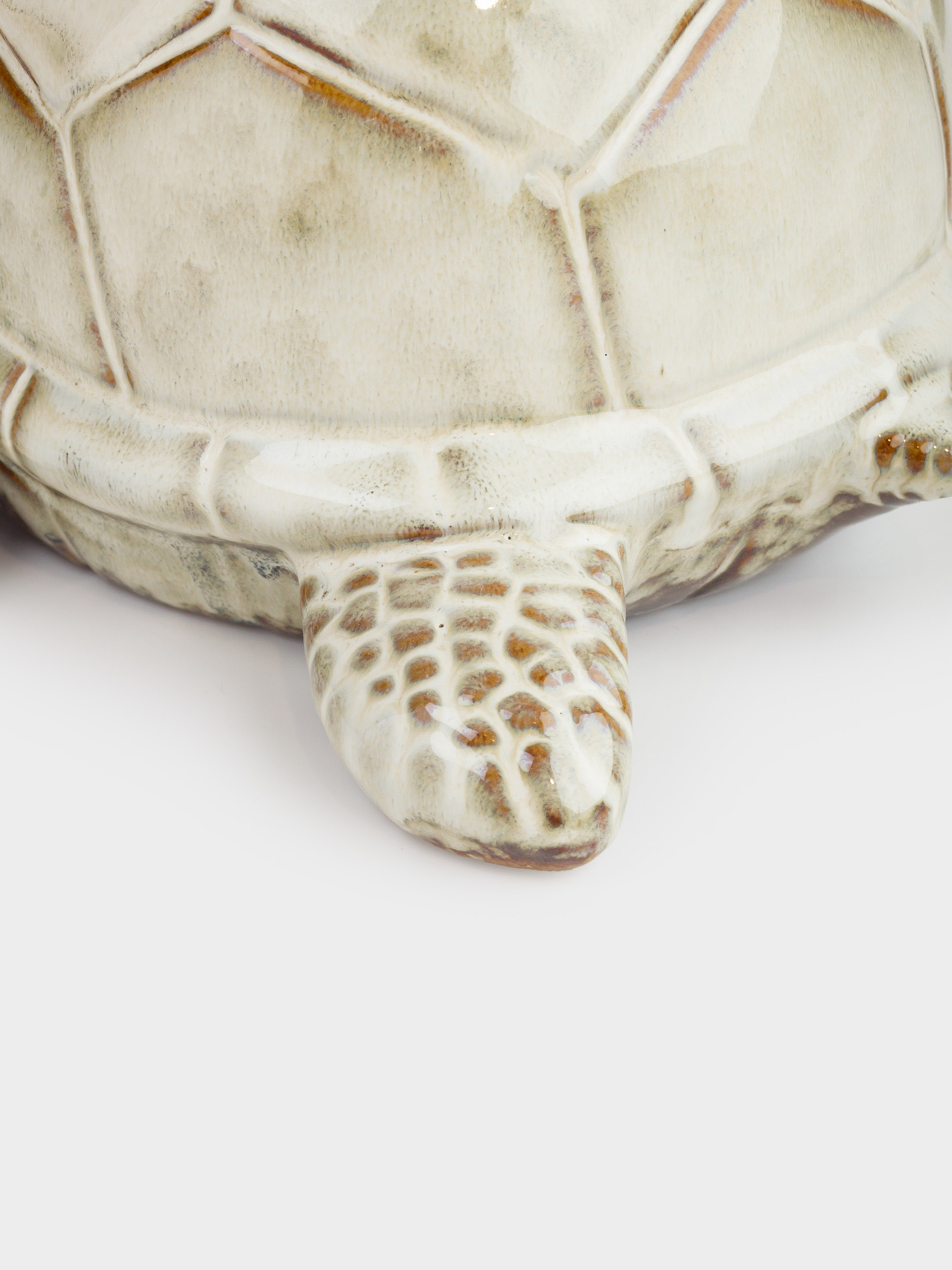 Конфетница, 26х13 см, фарфор P, бежево-коричневая, Черепаха, Grand turtle, image-3