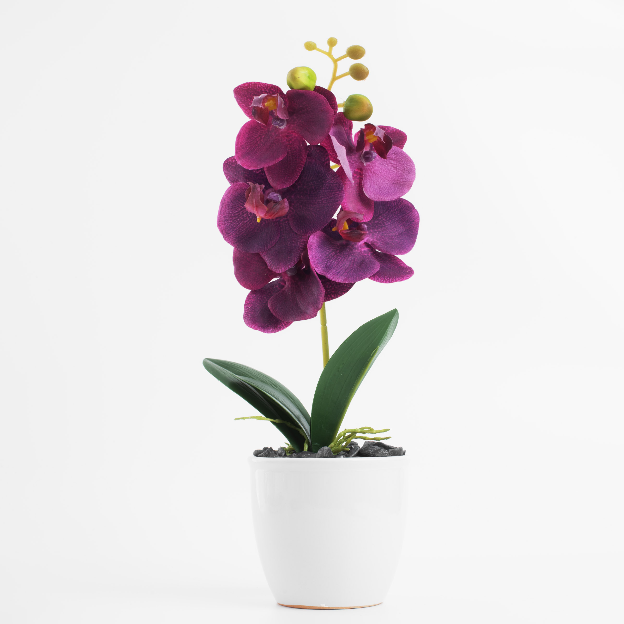 Жасанды өсімдік, 35 см, құмырада, полиэстер / керамика, қызғылт орхидея, Orchid изображение № 5