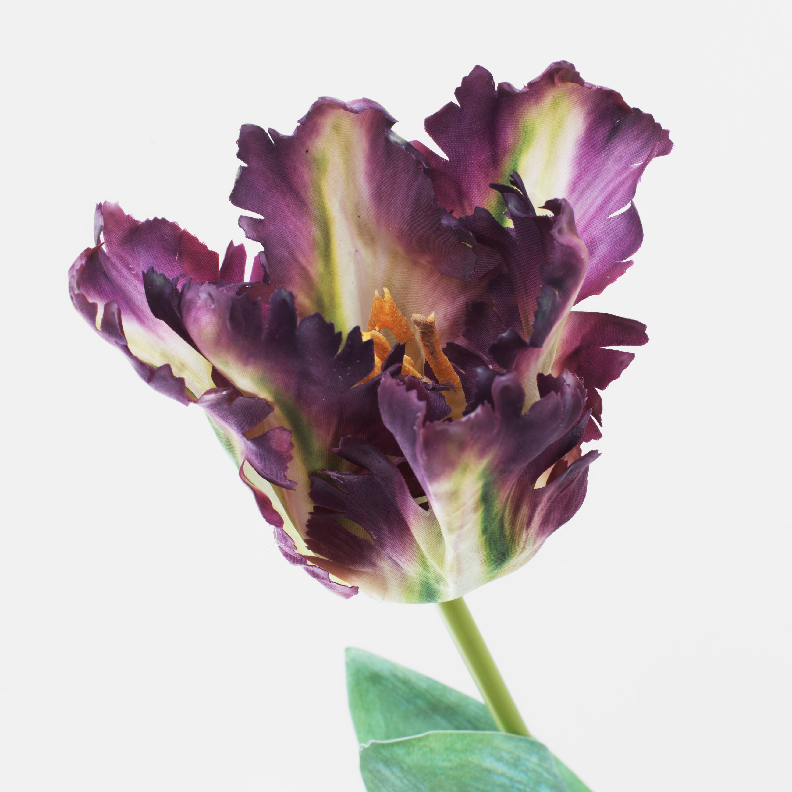 Жасанды гүл, 68 см, пластик / қағаз, Қызғалдақ, Tulip garden изображение № 2