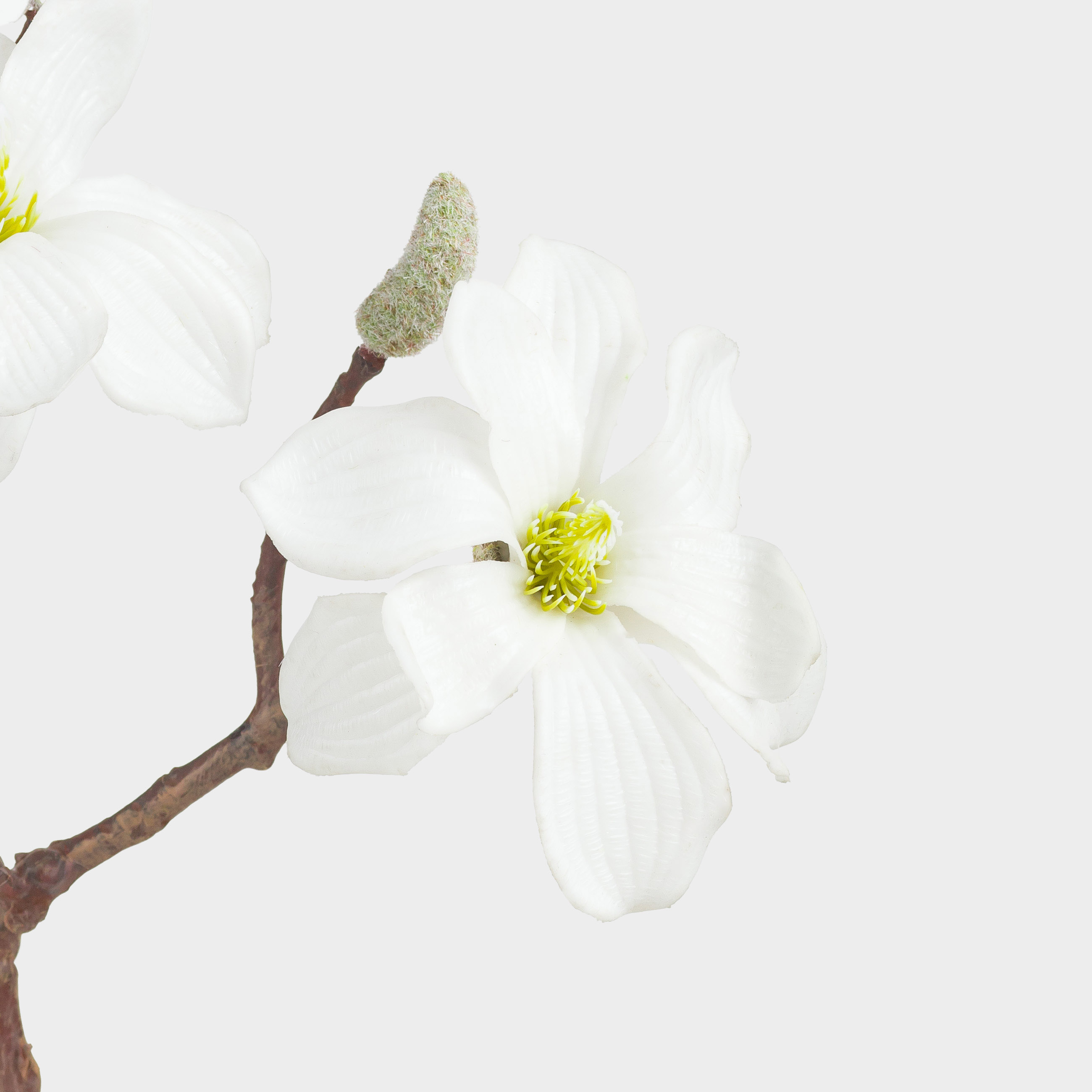 Ветка декоративная, 45 см, пластик/металл, Белая магнолия, Magnolia, image-2