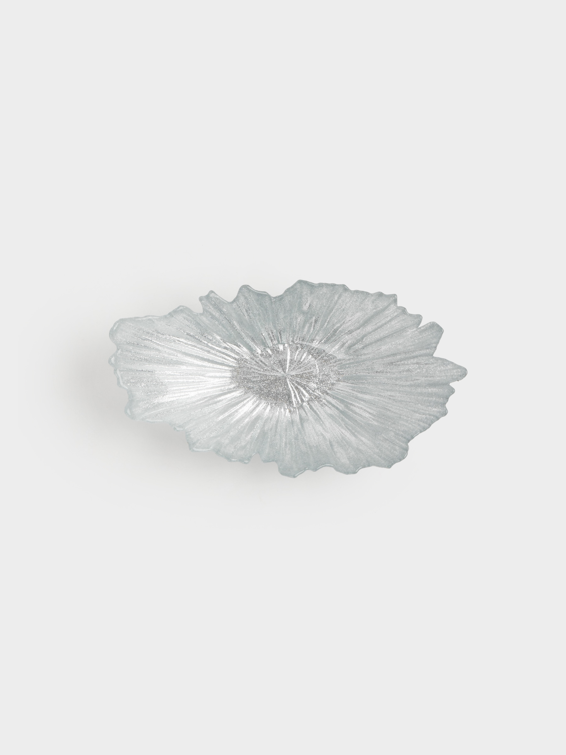 Ыдыс, 25х14х7 см, шыны Р, күміс түстес, Verge, image-4