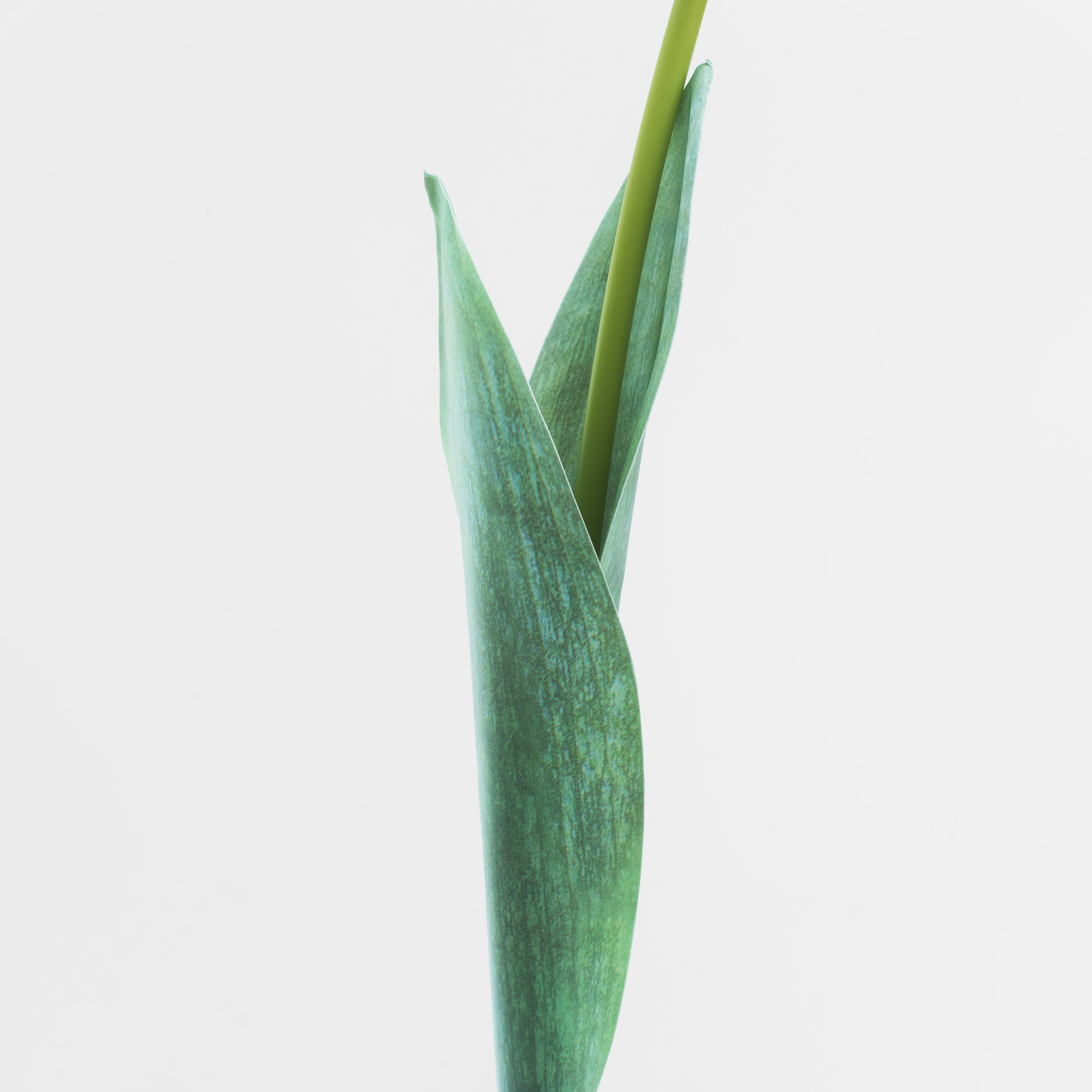 Жасанды гүл, 68 см, пластик / қағаз, Қызғалдақ, Tulip garden изображение № 3