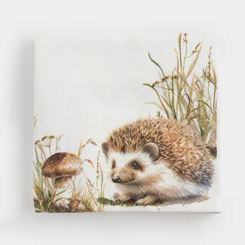 Қағаз майлықтар, 21х21 см, 20 дана, шаршы, ақ, Кірпі, Forest hedgehog