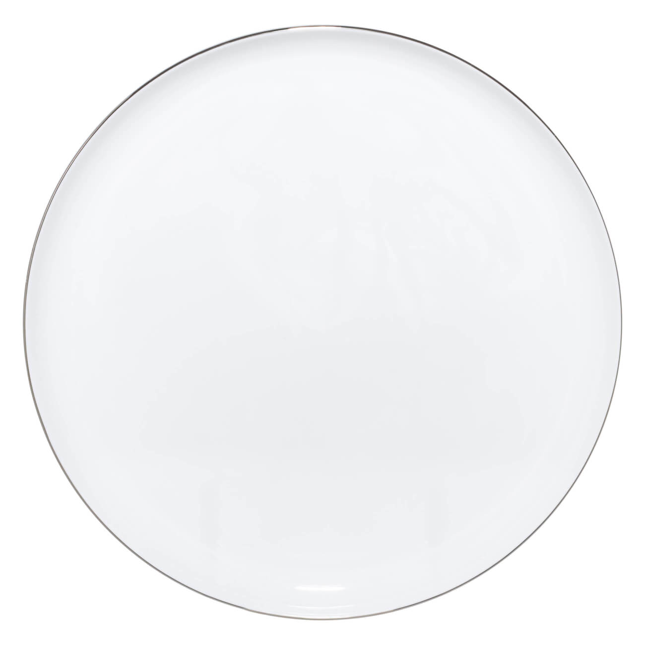 Тарелка обеденная, 28 см, фарфор F, Antarctica изображение № 1