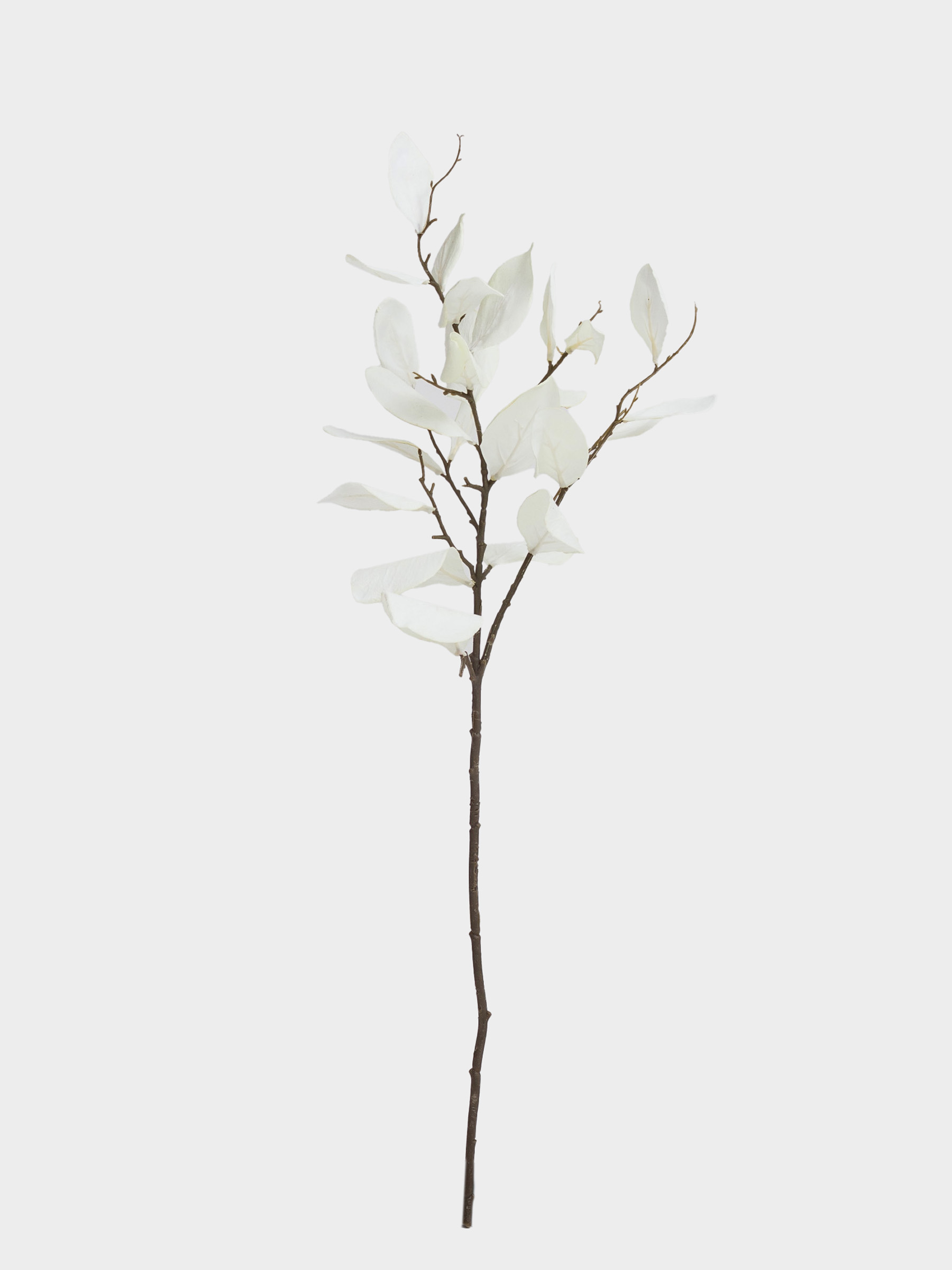 Ветка декоративная, 80 см, пластик/полиэстер, Белые листья, Broadleaf decor, image-0